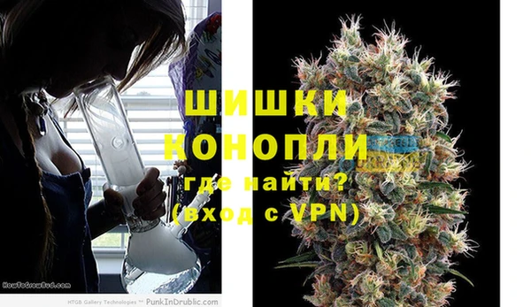стаф Баксан