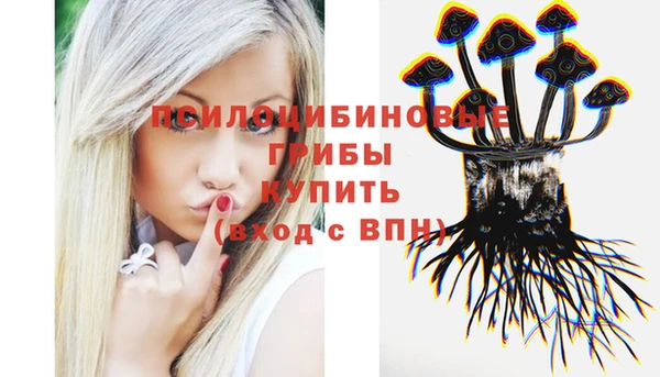 прущий лед Балахна