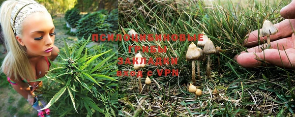 стаф Баксан
